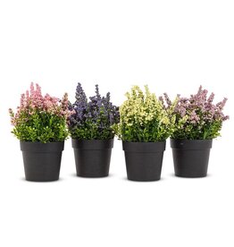 Lavender Plant Pot
