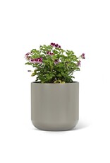 Classic Planter Large - Dark Grey