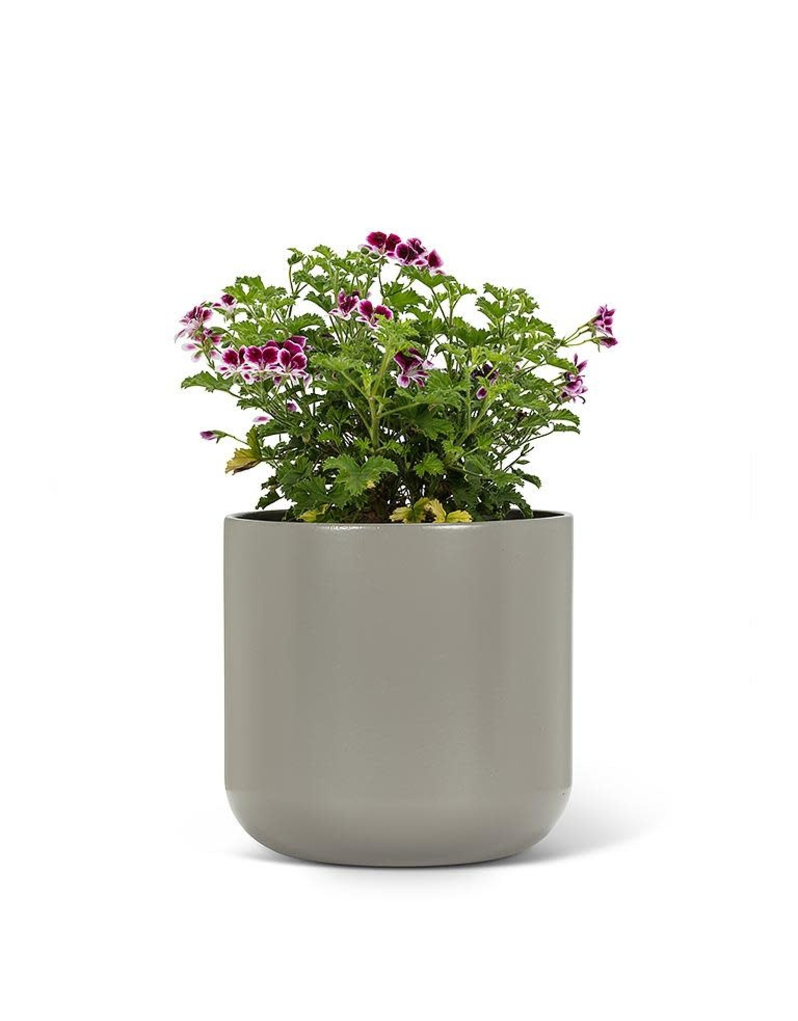 Classic Planter Large - Dark Grey