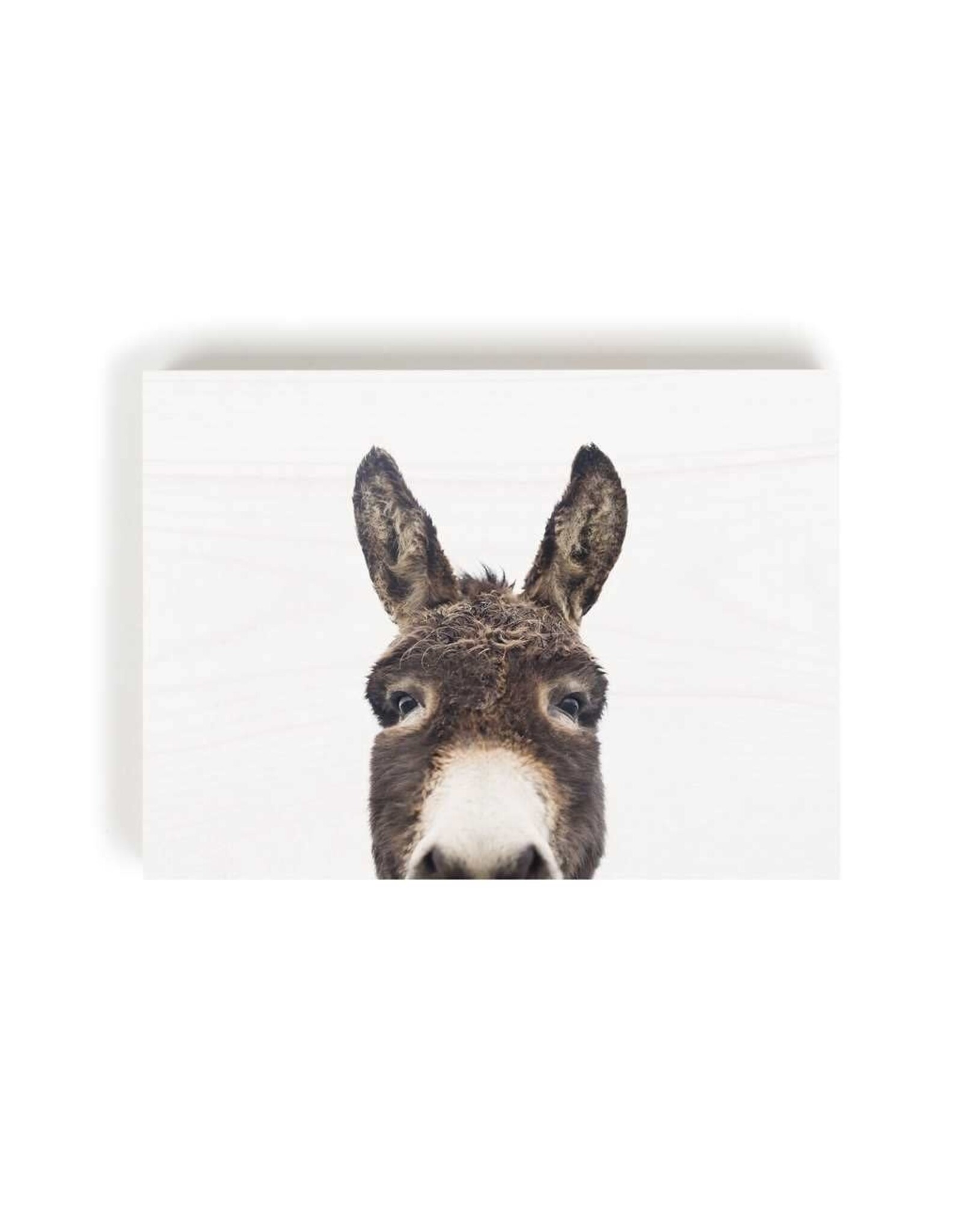 Decor Block - Peeking Donkey