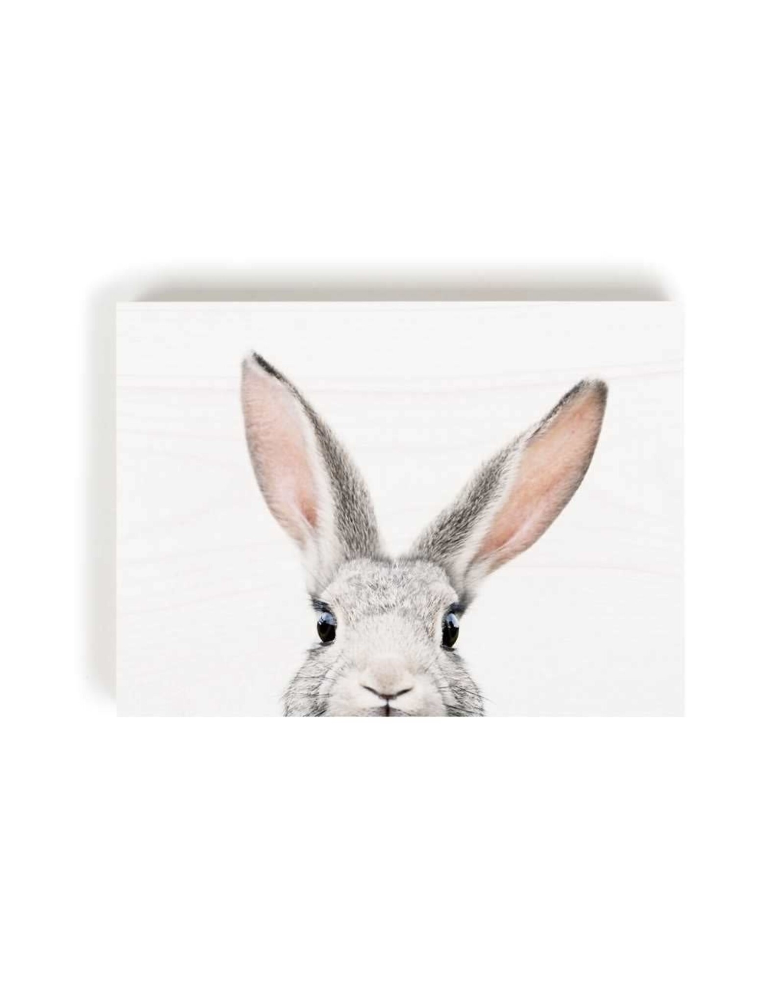 Decore Block - Peeking Rabbit