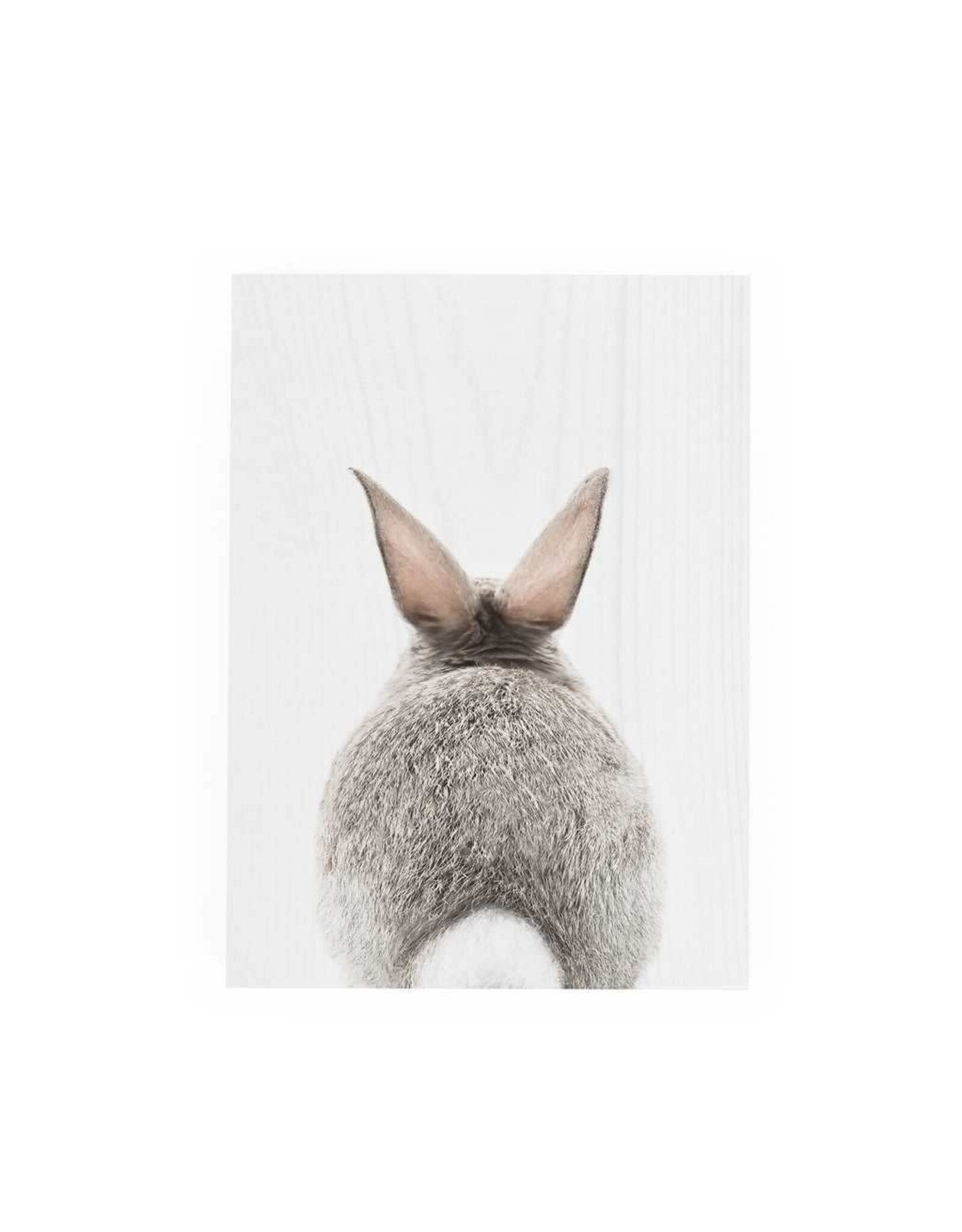Decor Block - Bunny Tail