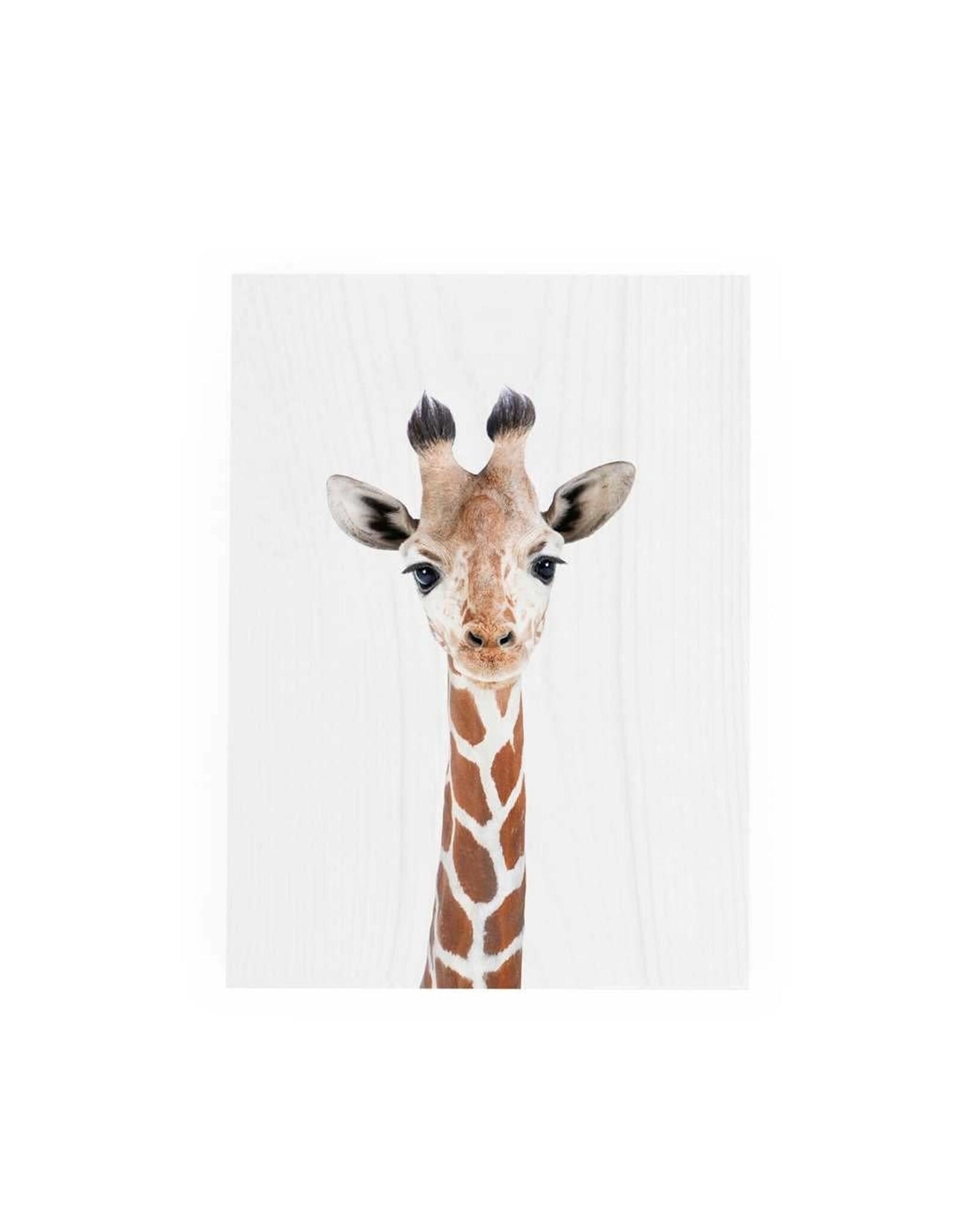 Decor Block - Giraffe