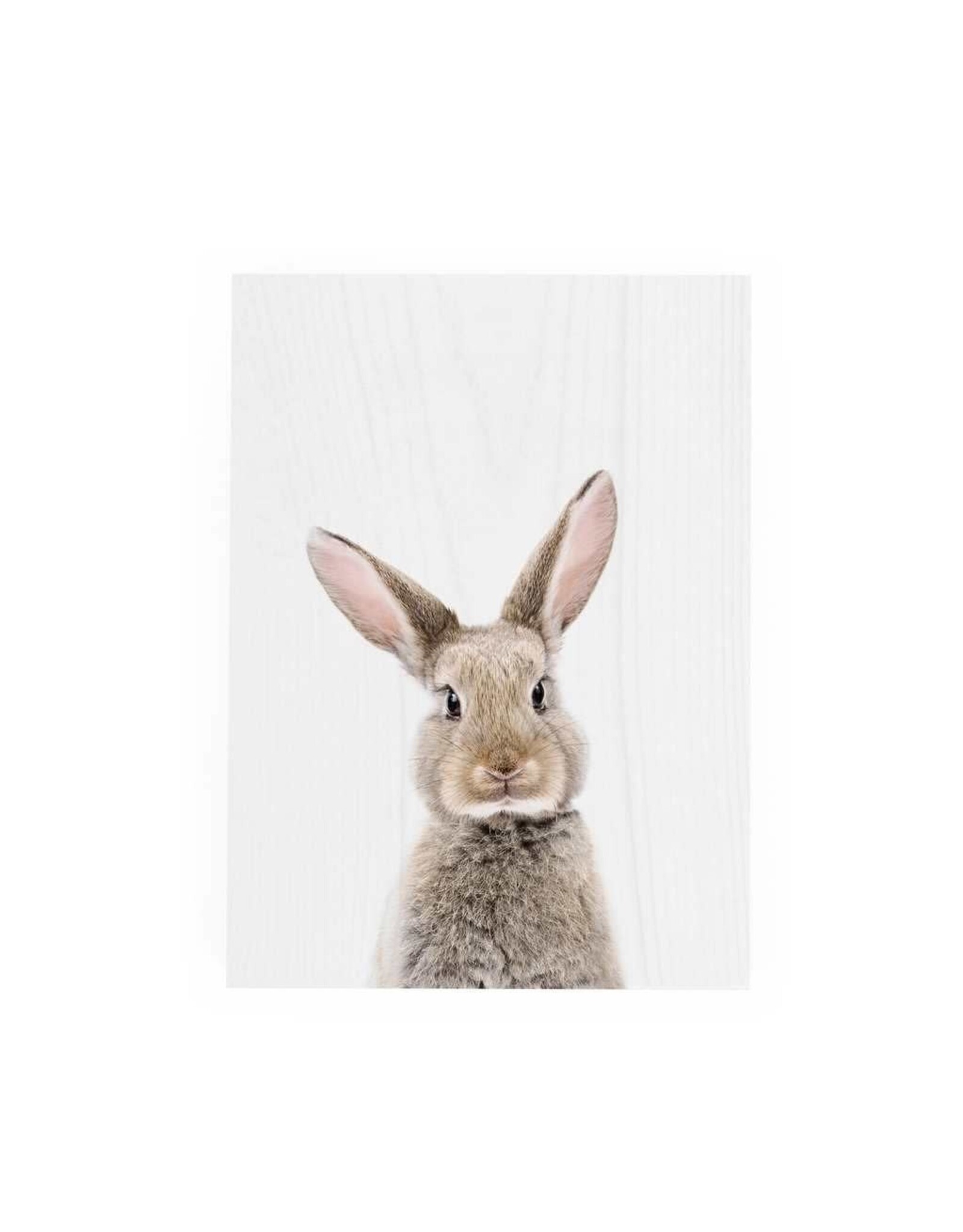 Decor Block - Rabbit