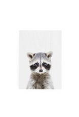 Decor Block - Raccoon