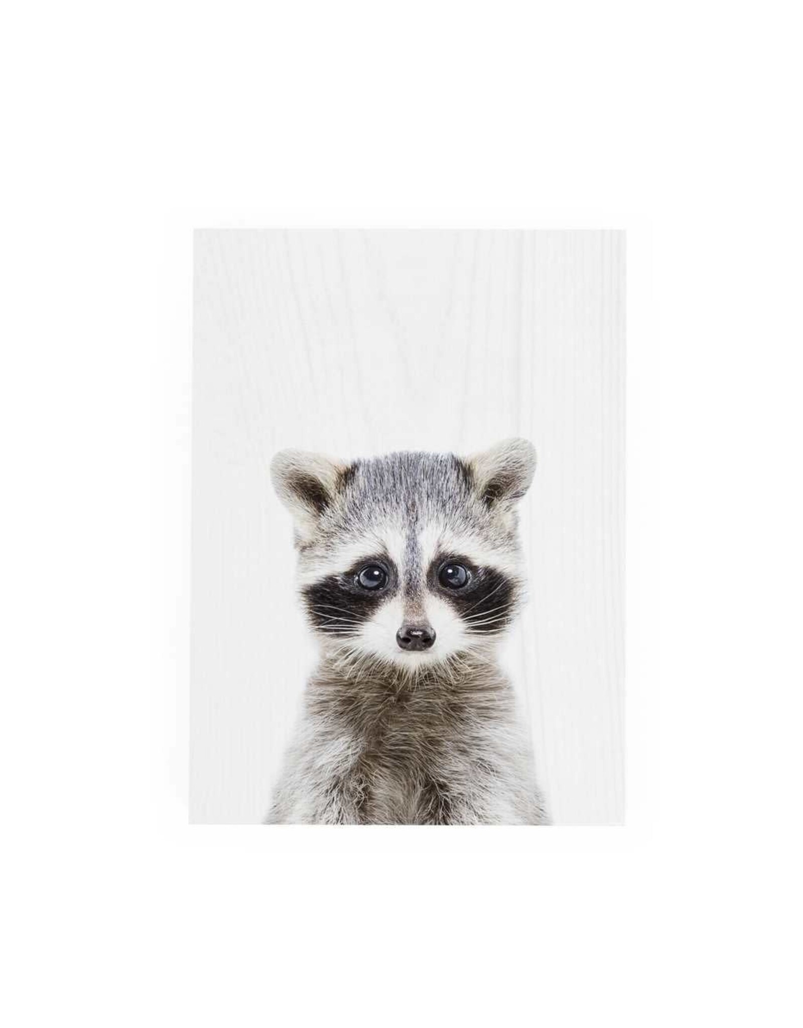 Decor Block - Raccoon