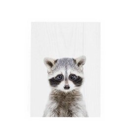 Decor Block - Raccoon