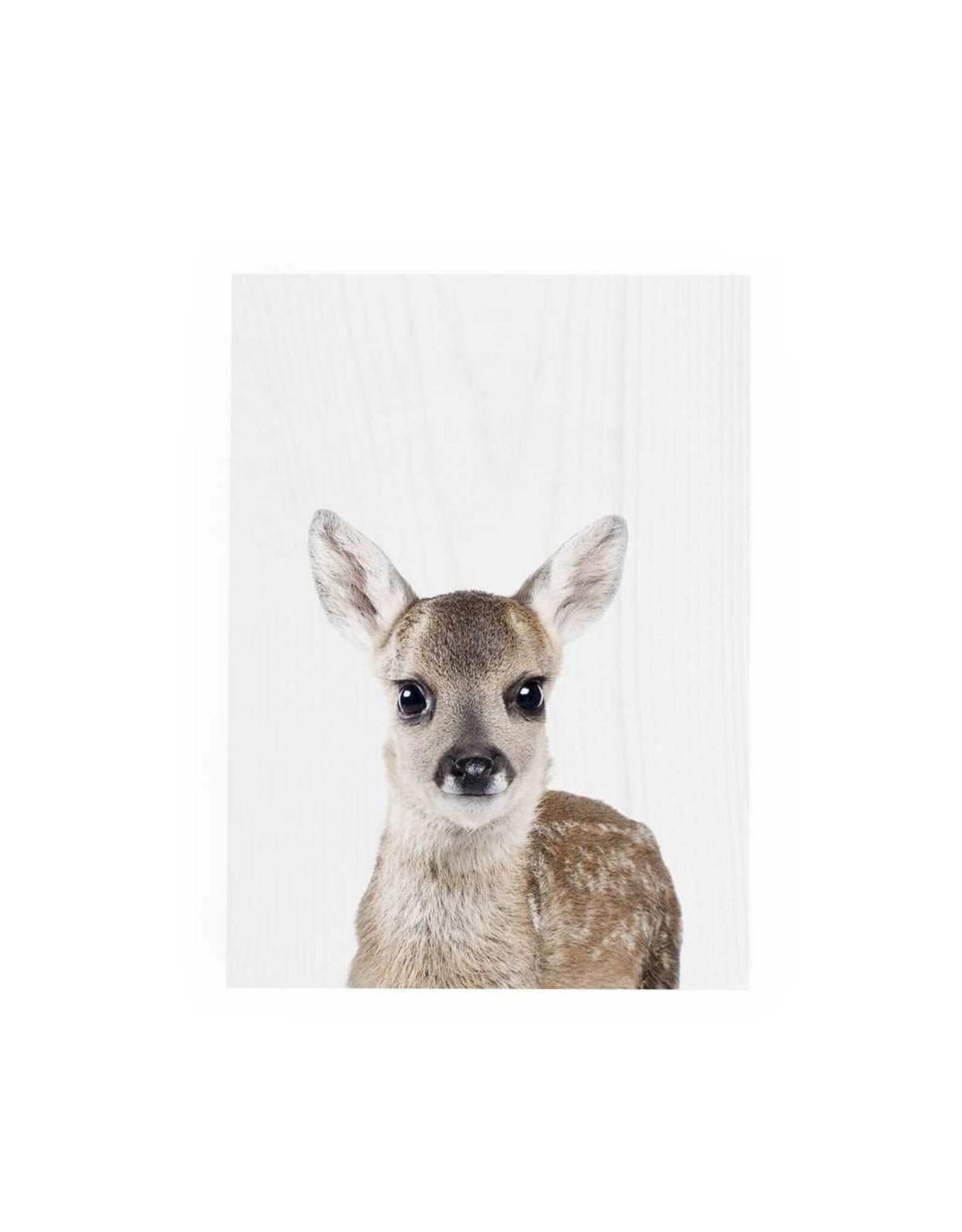 Decor Block - Fawn