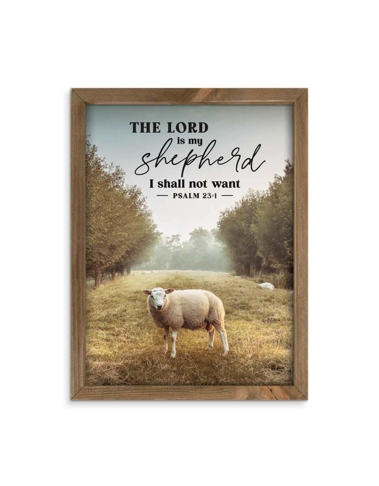 Framed Art - Psalm 23