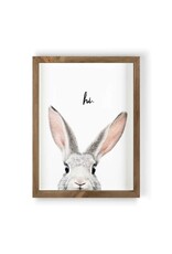 Framed Art - Hi