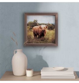 Framed Art - Highland Cow