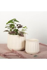 Textured Ceramic Pot - Small