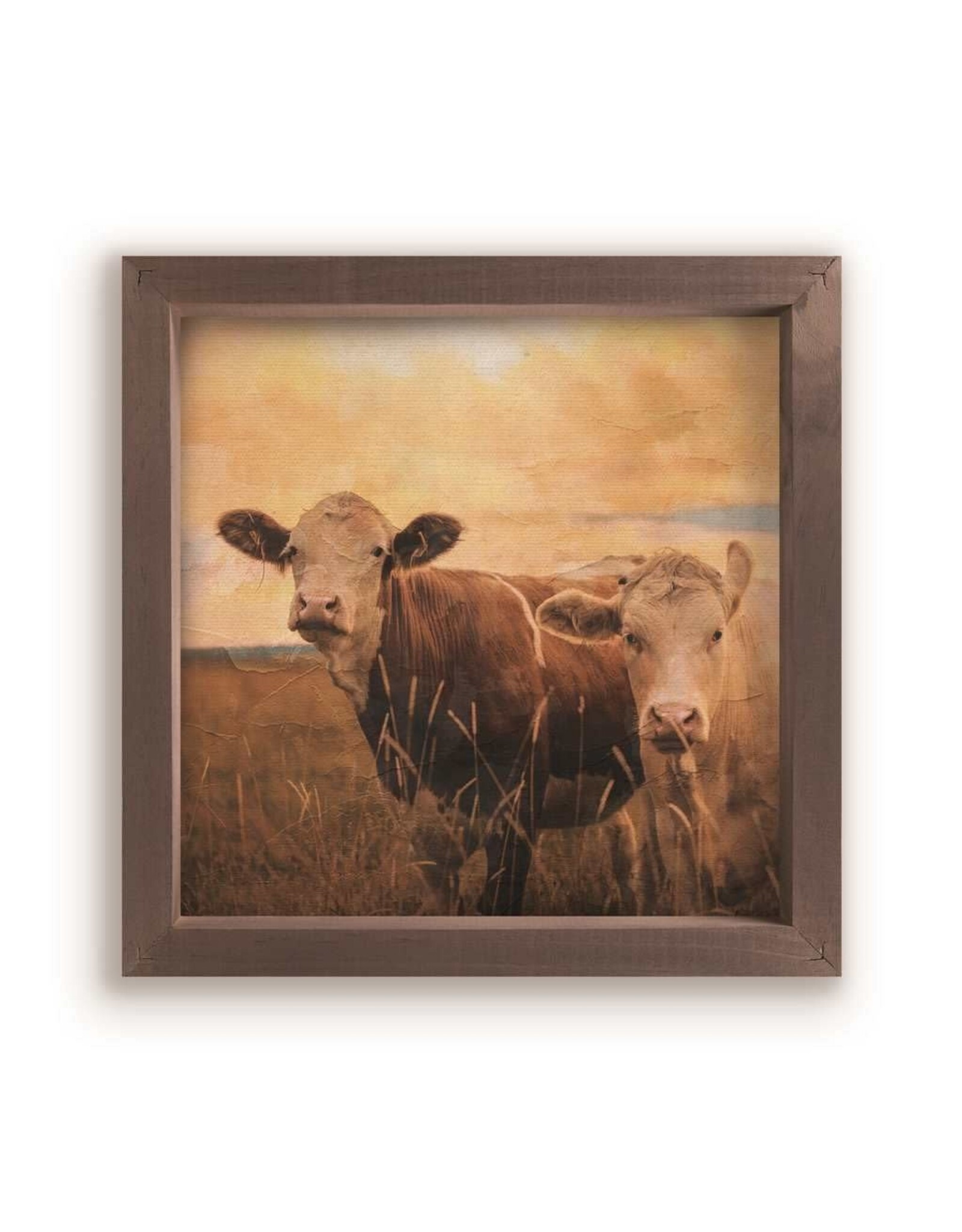 Framed Art - Two Cows
