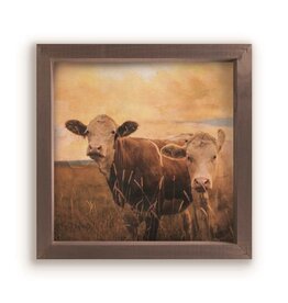 Framed Art - Two Cows