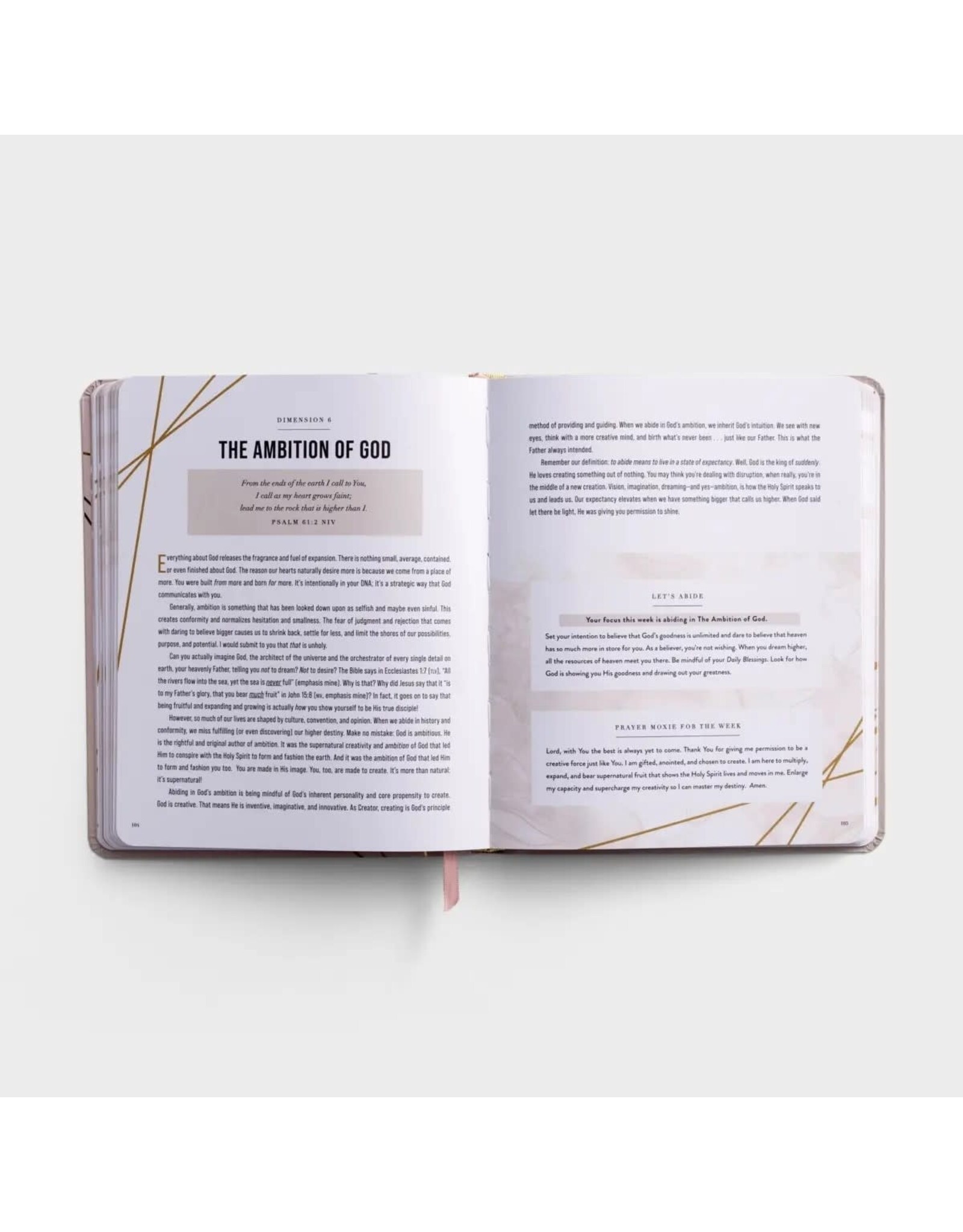 Daily Blessings: A Mindfulness Journal on the Goodness of God