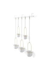 Triflora 5 Hanging Planter - White & Brass