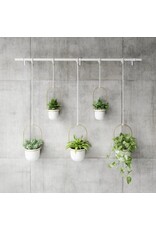 Triflora 5 Hanging Planter - White & Brass