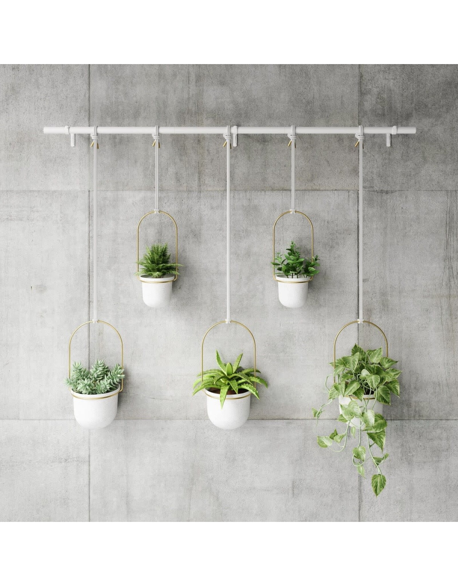 Triflora 5 Hanging Planter - White & Brass