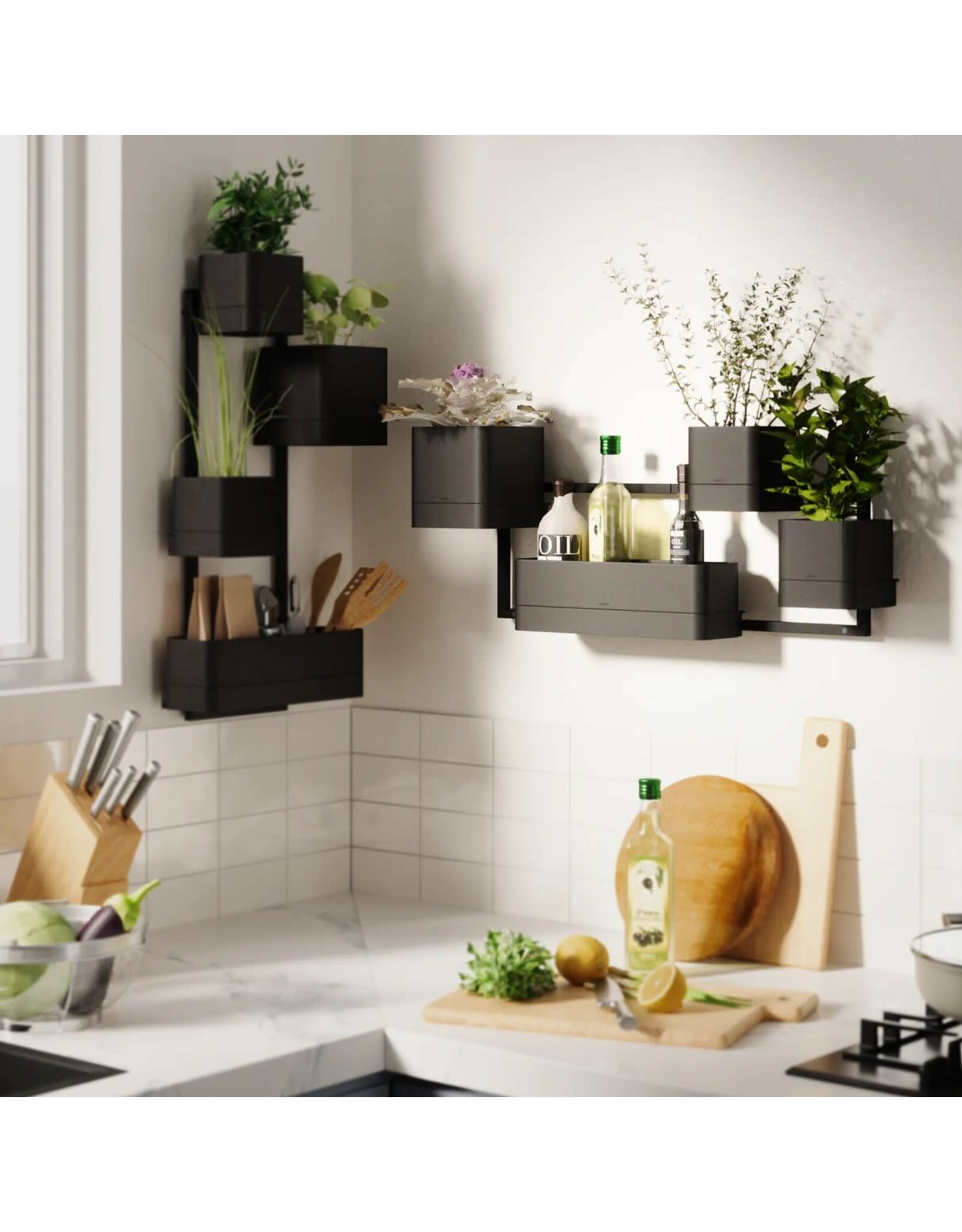 Cubiko Wall Planter - Black