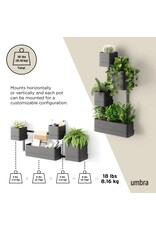 Cubiko Wall Planter - Black