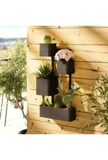 Cubiko Wall Planter - Black