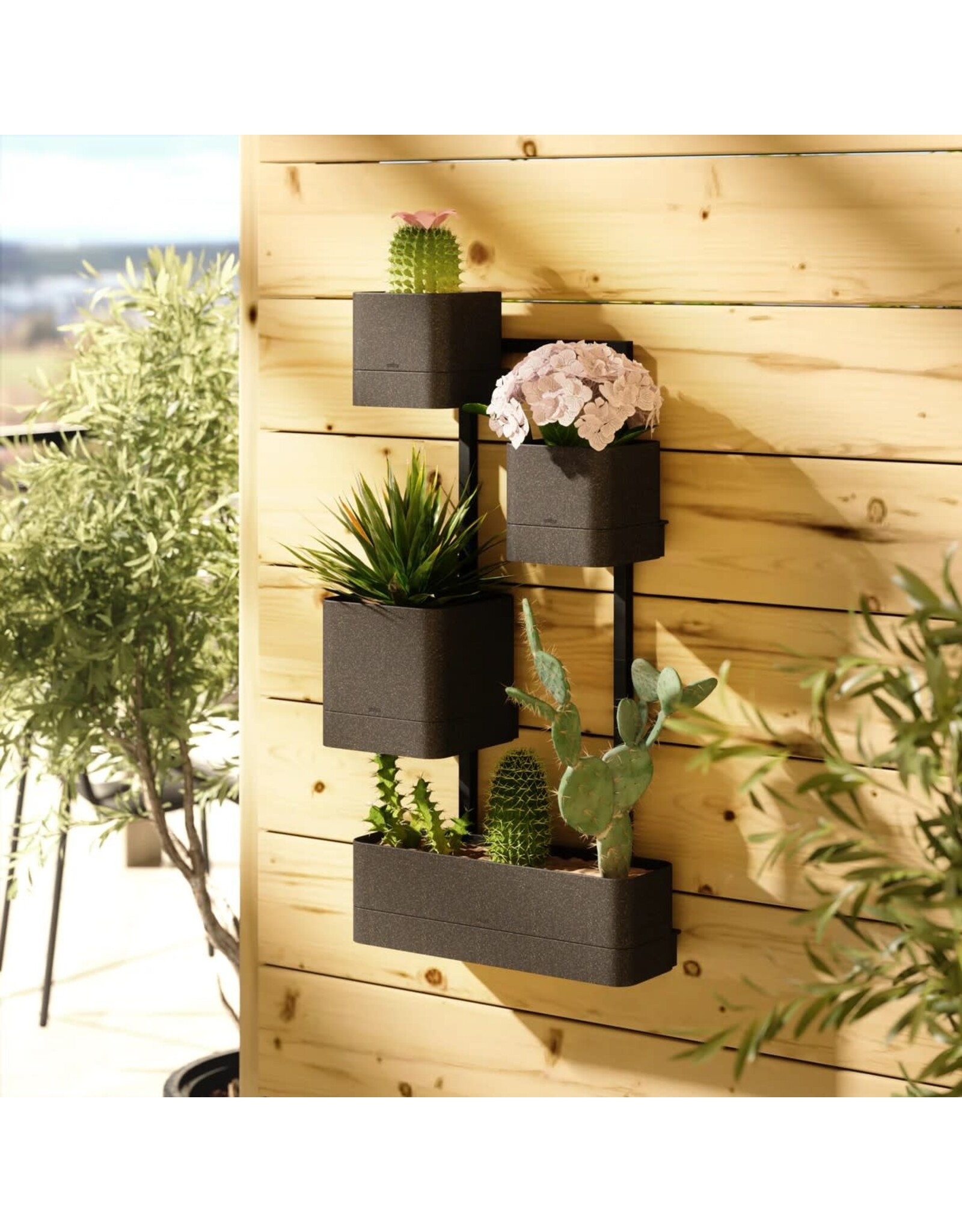 Cubiko Wall Planter - Black
