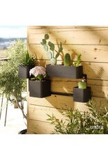 Cubiko Wall Planter - Black