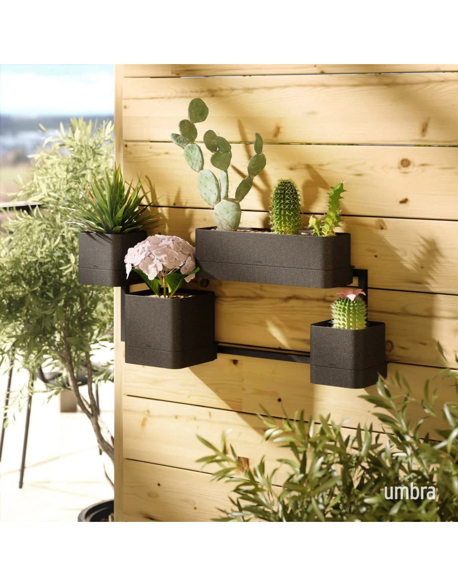 Cubiko Wall Planter - Black