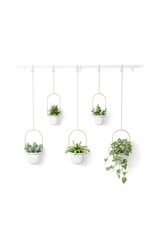 Triflora 5 Hanging Planter - White & Brass