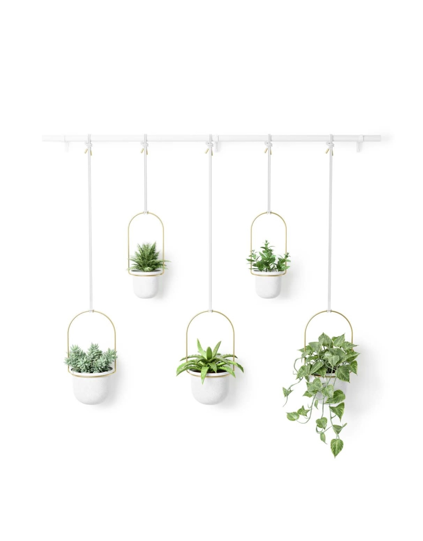 Triflora 5 Hanging Planter - White & Brass