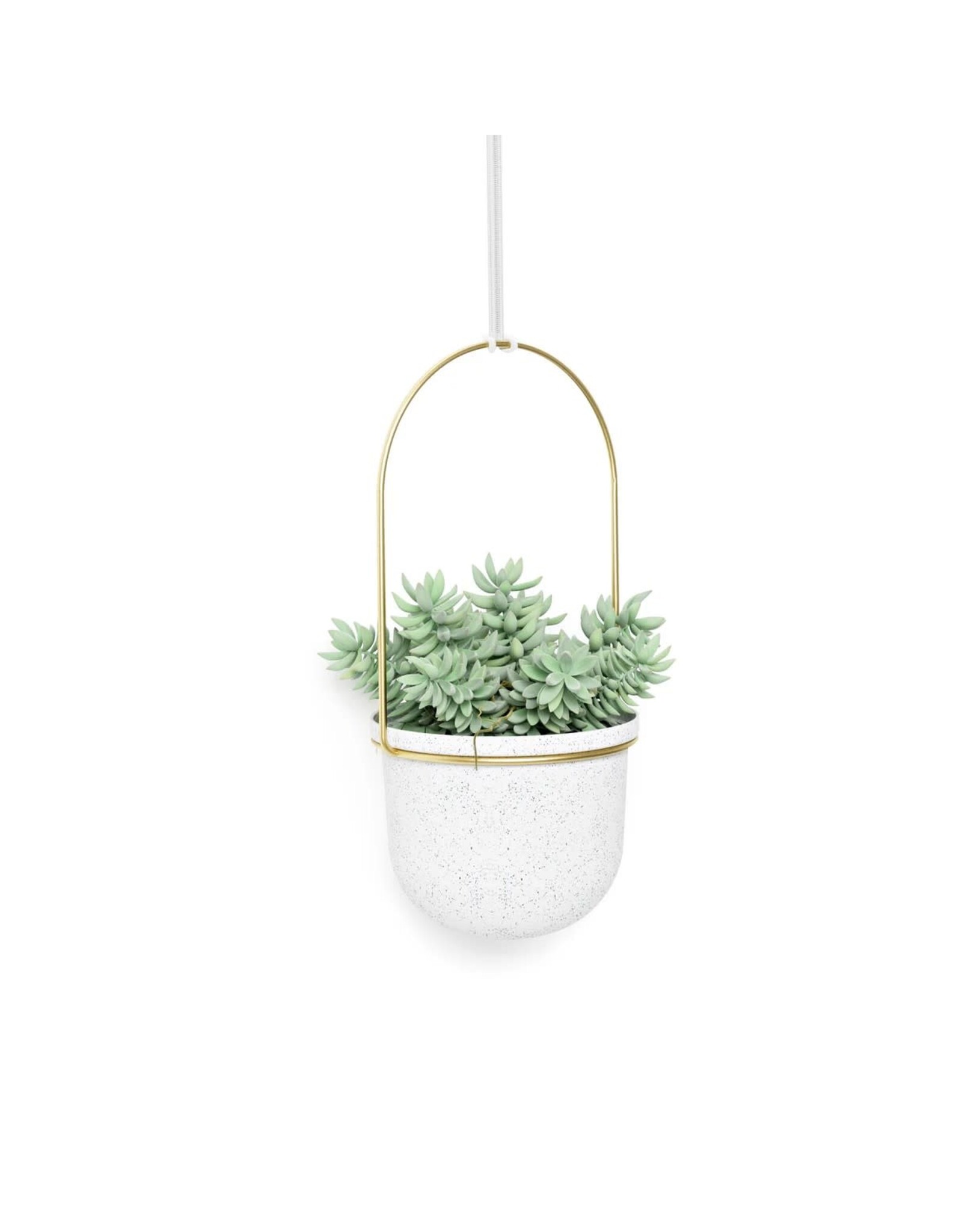 Triflora 5 Hanging Planter - White & Brass