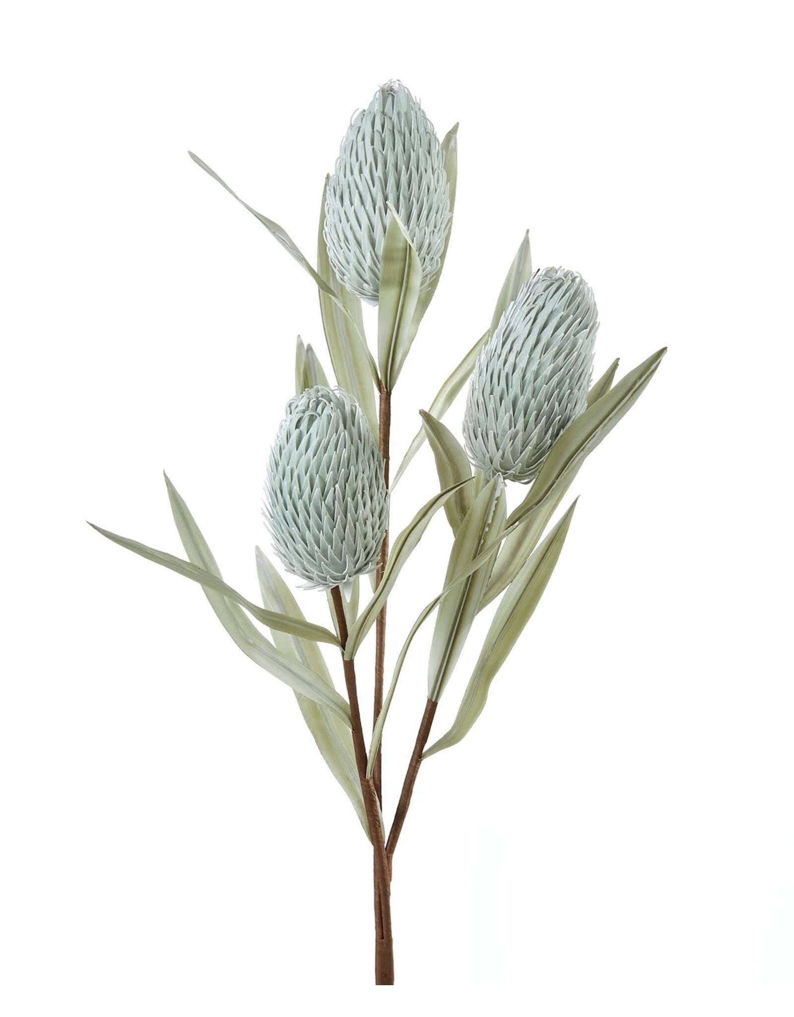 Banksia Floral Stem-sage green