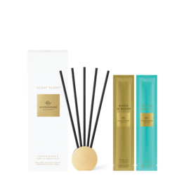 Scent Scene Duo - Lost in Amalfi & Kyoto in Bloom (gold vessel)