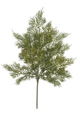 Cedar Spray 17"