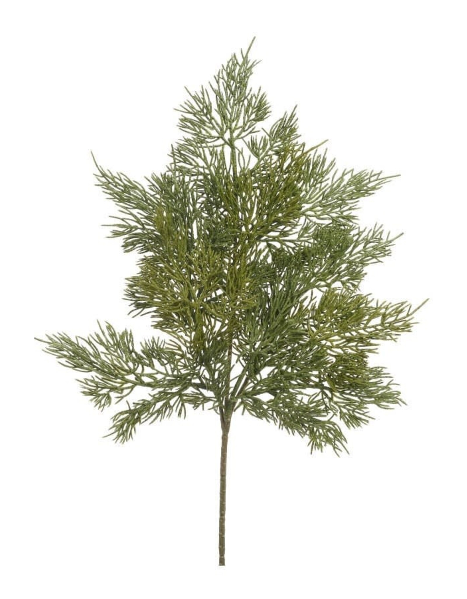Cedar Spray 17"