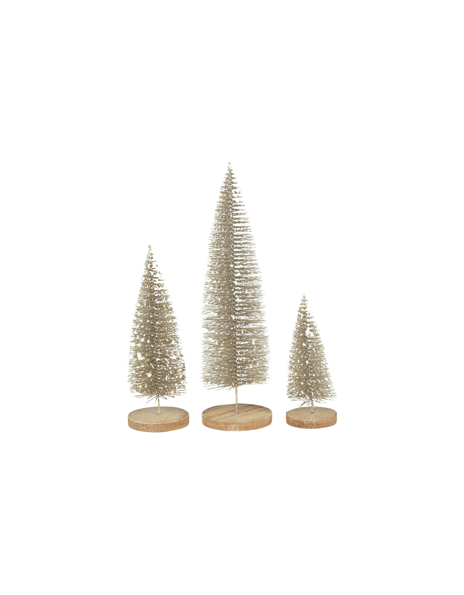 Silver Snowy Bristle Tree - large