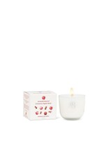 Cinnamon Apple Spice Mini Candle