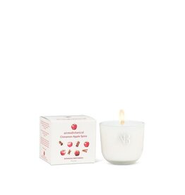 Cinnamon Apple Spice Mini Candle