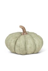 Large Pumpkin - green