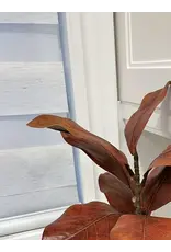 18" Magnolia Spray - red