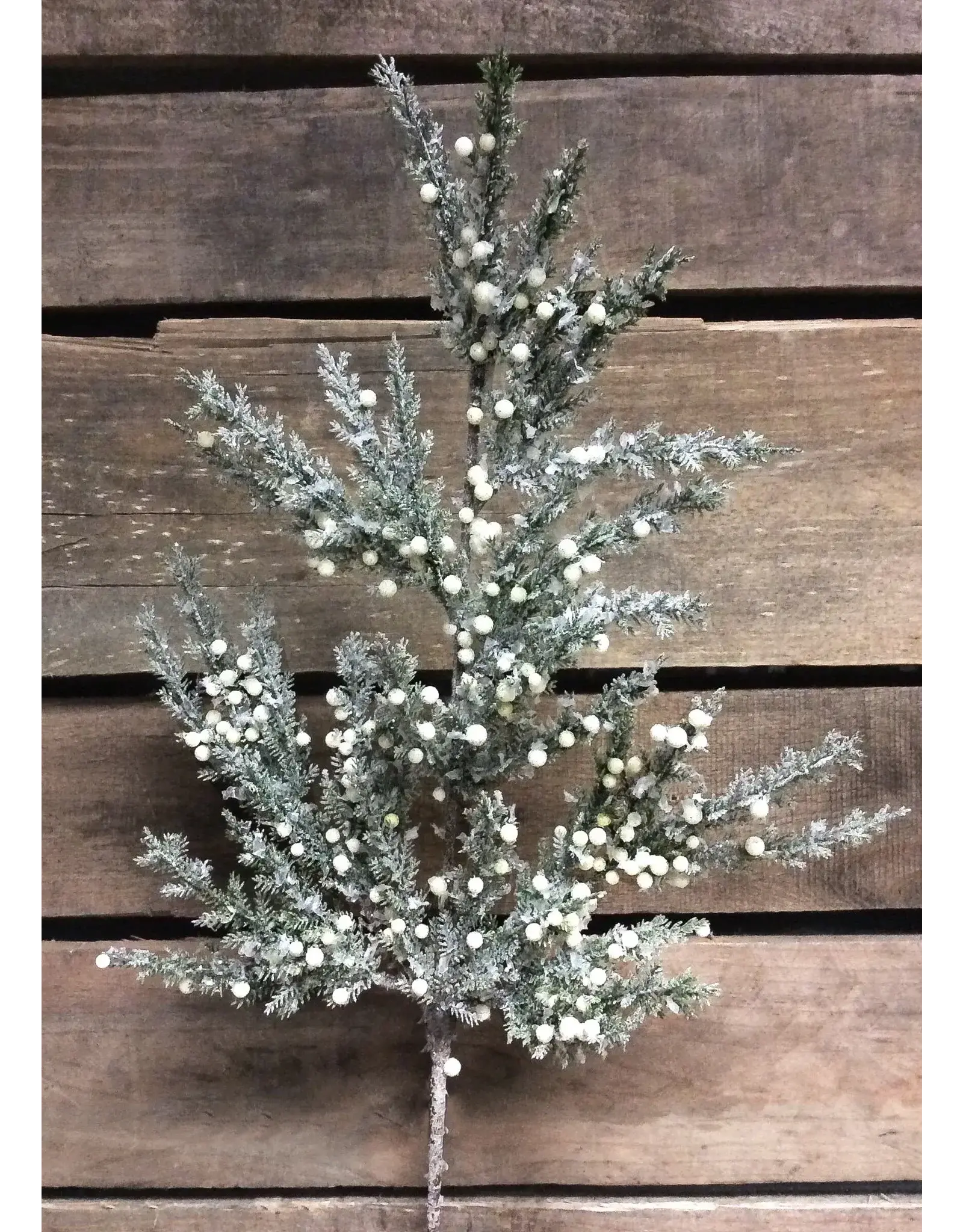 19.5" Frosted Cedar Spray with Cream Berries