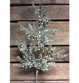 19.5" Frosted Cedar Spray with Cream Berries