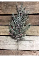 19.5" Frosted Cedar Spray with Red Berries