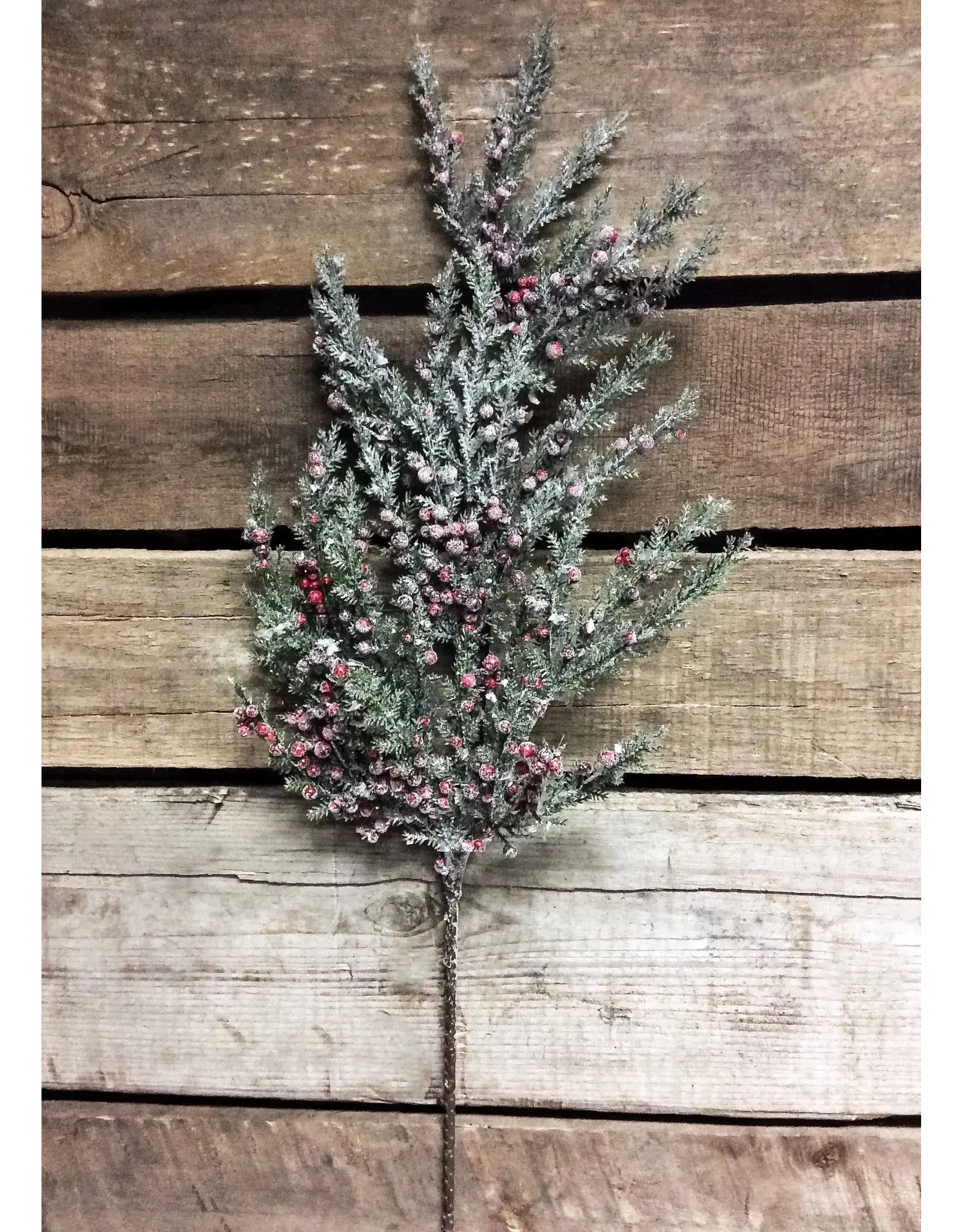 19.5" Frosted Cedar Spray with Red Berries