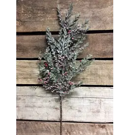 19.5" Frosted Cedar Spray with Red Berries