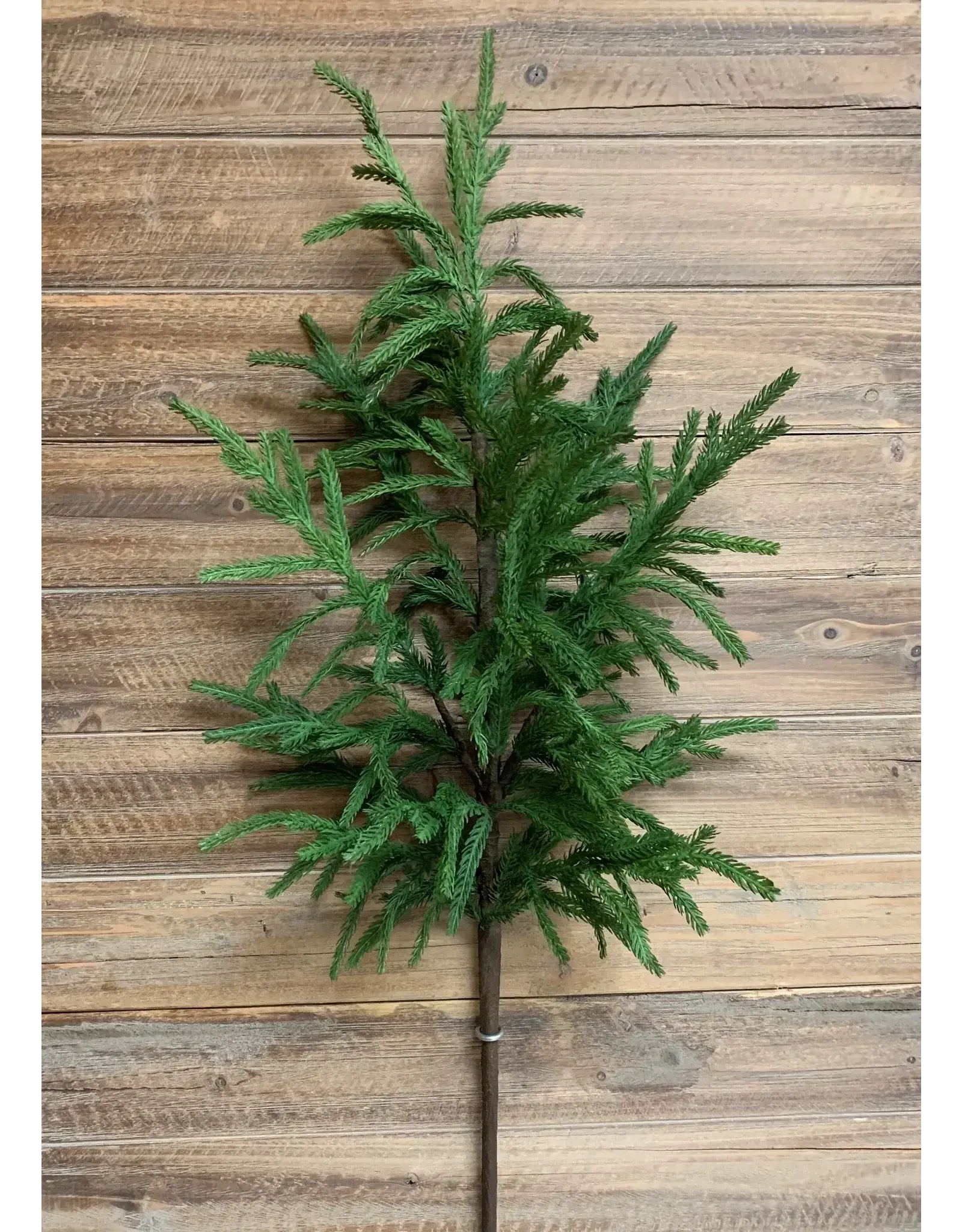 40" Fresh Touch Norfolk Pine Branch