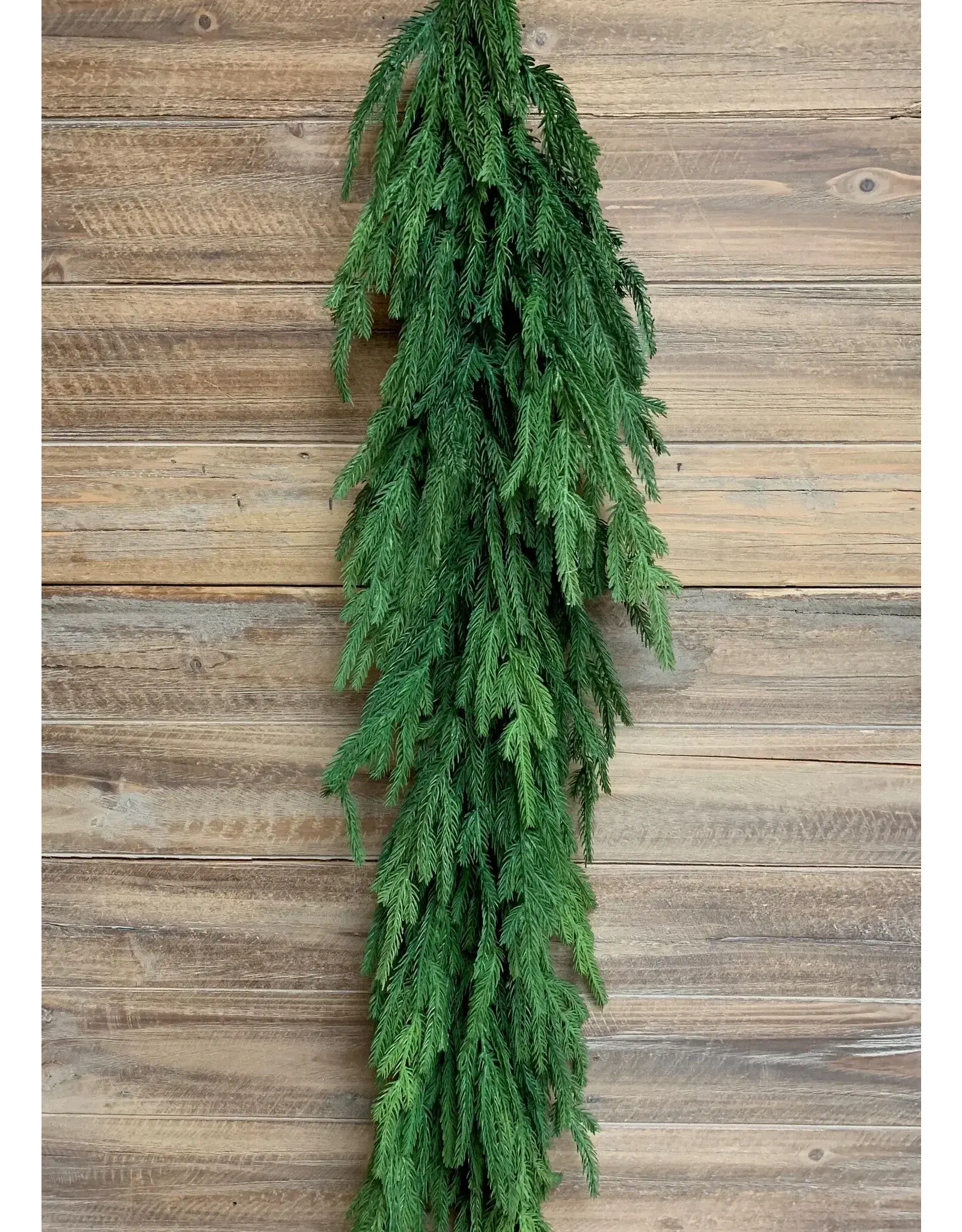 52" Fresh Touch Norfolk Pine Garland