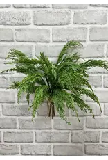 14" Fresh Touch Whispy Cedar Bundle, 5 stems