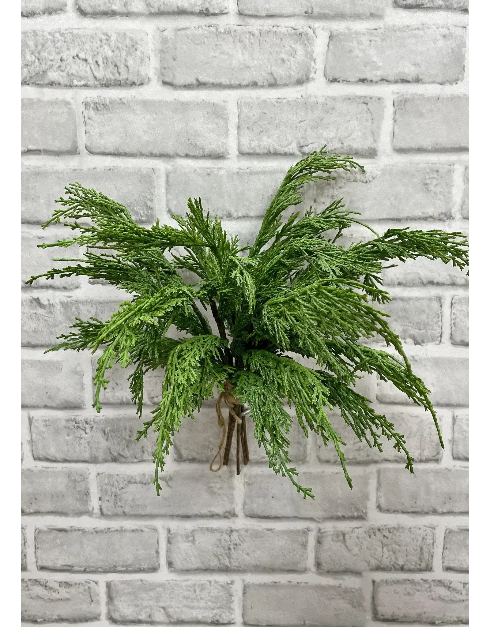 14" Fresh Touch Whispy Cedar Bundle, 5 stems