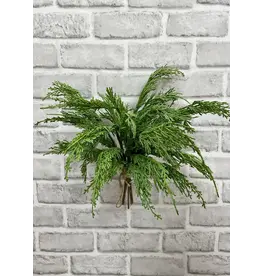14" Fresh Touch Whispy Cedar Bundle, 5 stems